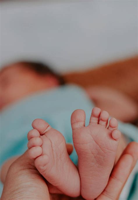 Laying The Groundwork: A Step-By-Step Guide To Becoming An Egg Donor In Louisiana