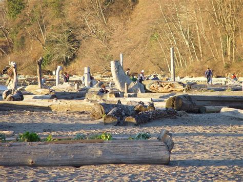 Wreck Beach | Cycling Vancouver's Seawall & Seaside Routes