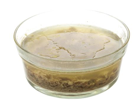 jellied meat dish view 12882329 Stock Photo at Vecteezy