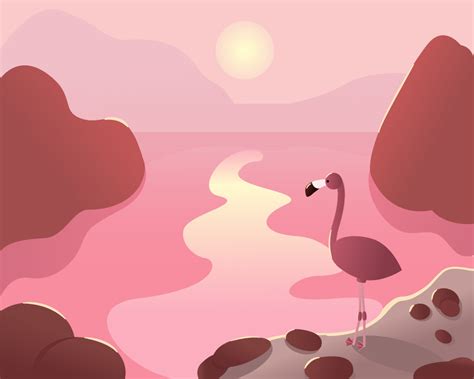 Pink Flamingo on Behance