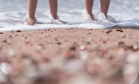 Kids Feet in Water on the Beach Stock Image - Image of outdoors, legs ...