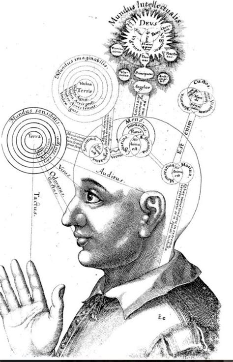 human understanding fundamentally limited owlcation