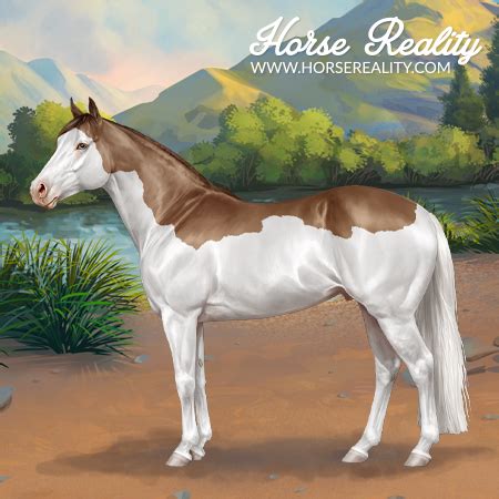 Quarter Horse | Horse Reality Wiki