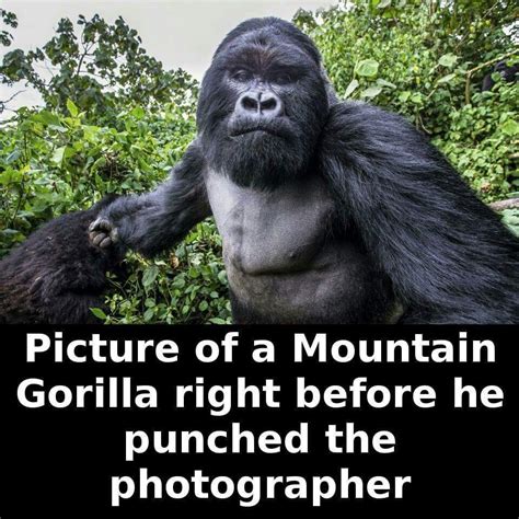 15 Awesome Crazy Facts | Amazing WTF Facts