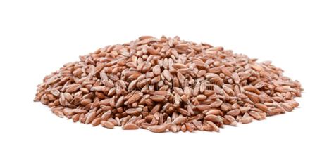 Wheat Heap or Pile Side View Isolated on White Background Stock Photo ...