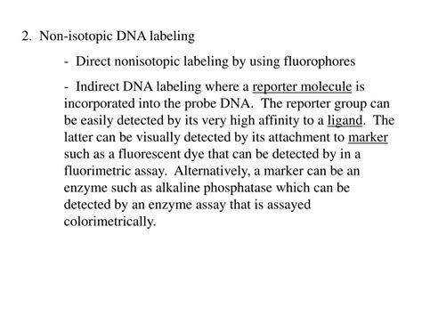 PPT - Chapter 5 Nucleic Acid Hybridization Assays A. Preparation of ...