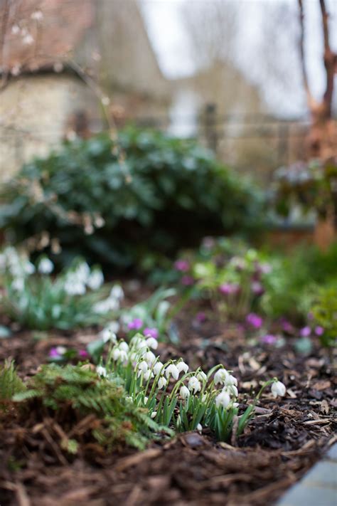 Alexandra Davies | Garden Photographer's Association | Spring garden