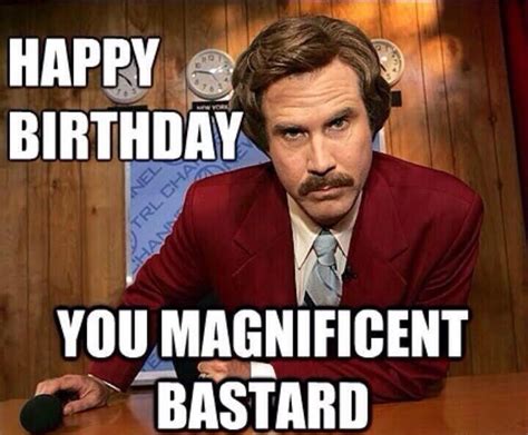 15+ Most Funny Birthday Meme Pictures And Image - Funnyexpo