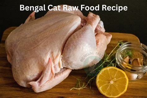 5 Nourishing Bengal Cat Raw Food Recipes for Vibrant Health