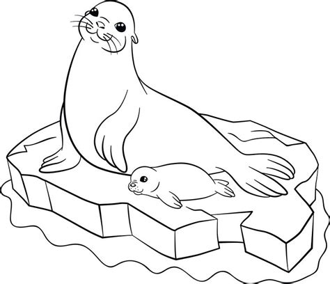 Harp Seal Coloring Page at GetDrawings | Free download