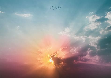 parenting   eternal perspective rooted ministry