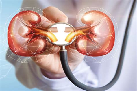 nephrology radiance hospital pvt