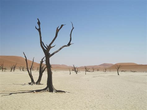 Hot Vixens Photos, Download The BEST Free Hot Vixens Stock Photos & HD