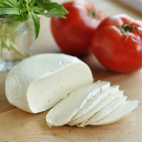 homemade fresh mozzarella recipe homemade mozzarella