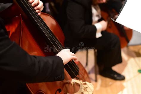 String Bass/Double Bass Player in Orchestra Stock Image - Image of ...