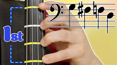 The First Position on Cello, a Beginner Cello Lesson | Basics of Cello ...