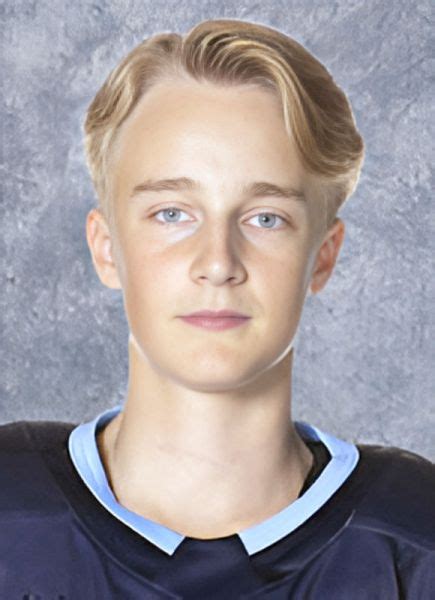 theo stockselius hockey stats  profile  hockeydbcom