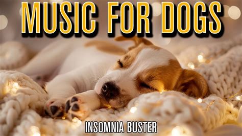 DOG SLEEP MUSIC! Calming Ambient Songs to Help Dogs with Insomnia ...