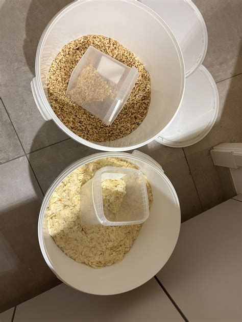 Waarom hazelnoten en amandelen essentieel zijn voor een gezond dieet