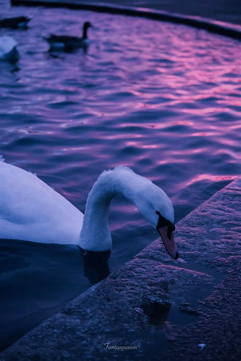 就在一次次日升月落里 再愛一次人間