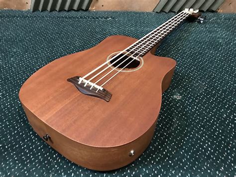 gold tone micro bass  bass mb  acousticelectric bass reverb