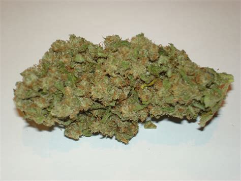 Jack Flash - strain - Sensi Seeds | Cannapedia