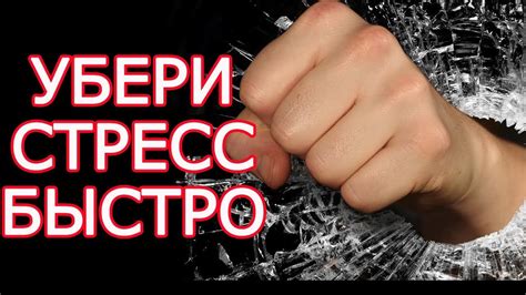 9 способов быстро снять стресс и негативные эмоции -Как избавиться от ...