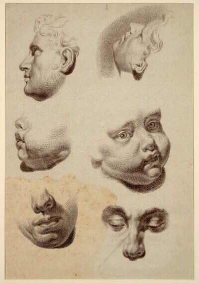 Sechs Kopfstudien beziehungsweise Details | Europeana