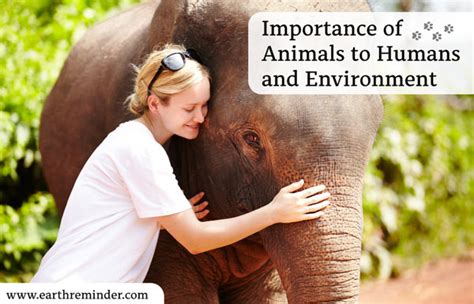 Importance of Animals to Humans and Environment | Earth Reminder