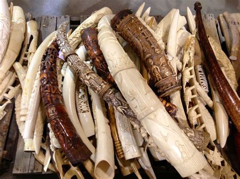 goods  india ivory ivory trade ivory carbon