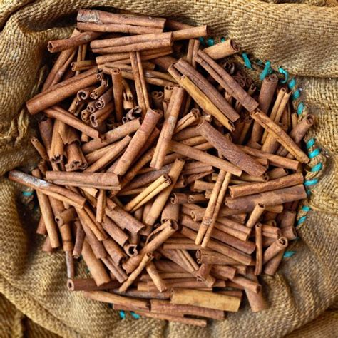 cinnamon cinnamomum spp  benefits safety herbal reality