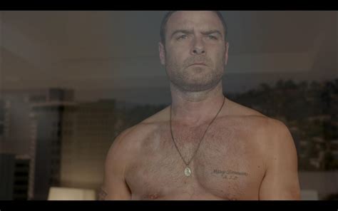 Ray Donovan (2013)