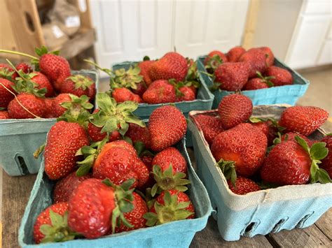 Alexandria Garden Club added a... - Alexandria Garden Club