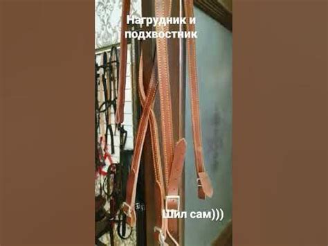 нагрудник, подхвостник амуниция для коня - YouTube