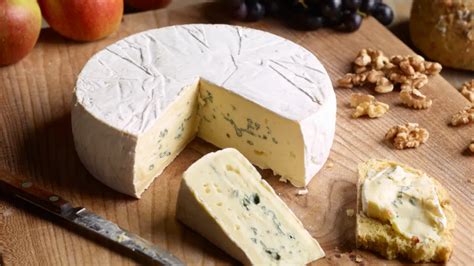 camembert traveligit