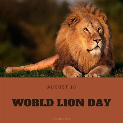 World Lion Day 2024 | Eventlas