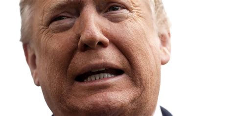 notice  donald trump appears   throw  son