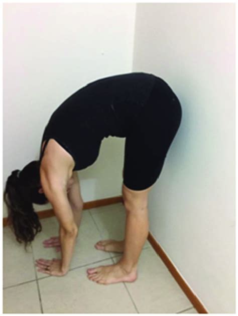 flexion   trunk  knees straight    palms