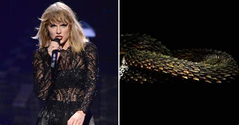 Taylor Swift Posts Another "Snake" Video on Social Media | Teen Vogue