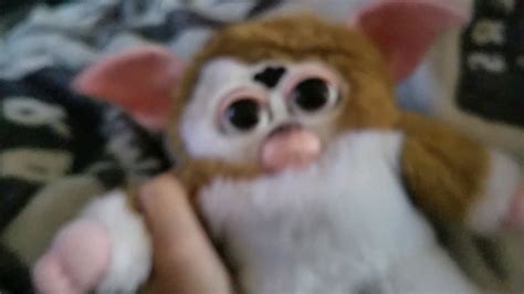 GIZMO : r/furby