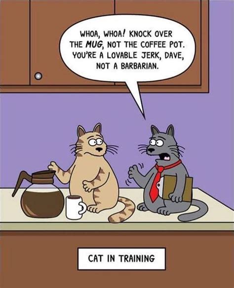 Dave in training - coffee humor - coffee funny - coffee - good morning ...