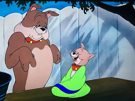 spike dog tom  jerry  debbie apodaca blog