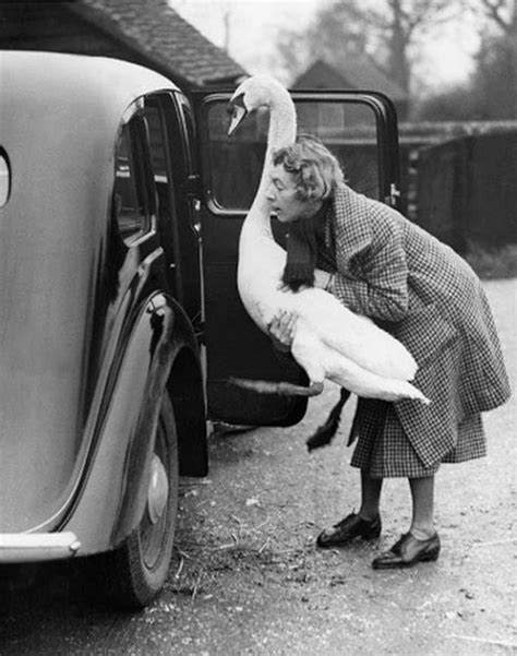 20 Funny Vintage Photos That Can't Be Explained About Women