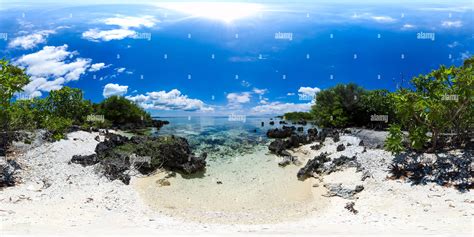 360° view of Beach and mangroves. VR 360 - Alamy