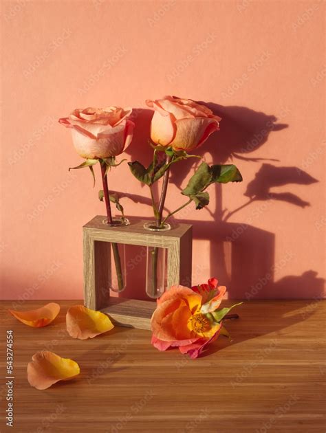 Pink roses in glass vase and rose petals on pink and wooden background. Vintage concept of pink ...