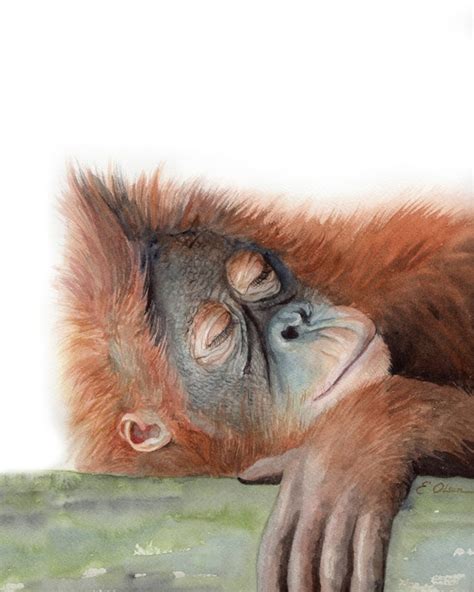 Orangutan Art Gift Sleeping Orangutan Art Print Watercolor - Etsy