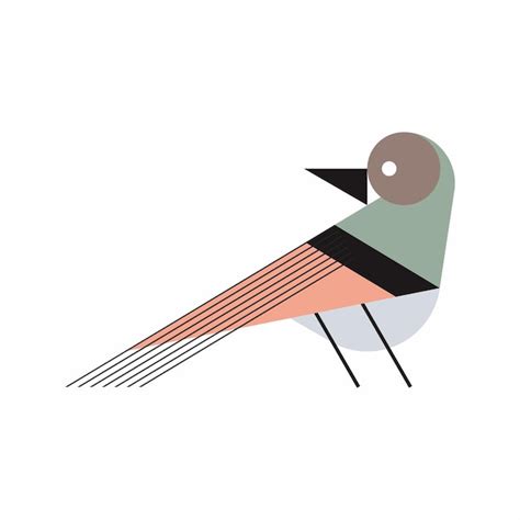 premium vector flat bird illustration
