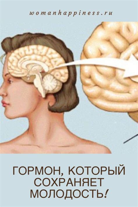 Гормон, который сохраняет молодость! Таблетка от старости: время ...