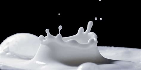 Why is Milk White? - DBLDKR