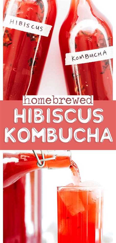 Benefits of hibiscus tea – Artofit